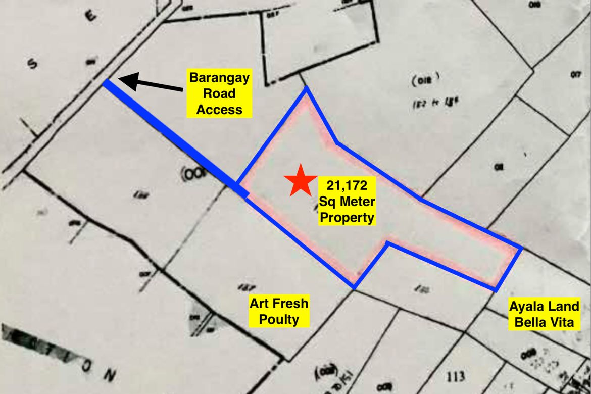 Land for Sale in San Bartolome, San Pablo, Laguna – photo 4