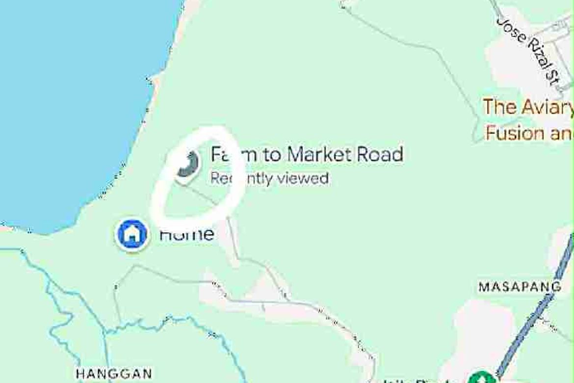 Land for Sale in San Benito, Victoria, Laguna – photo 4