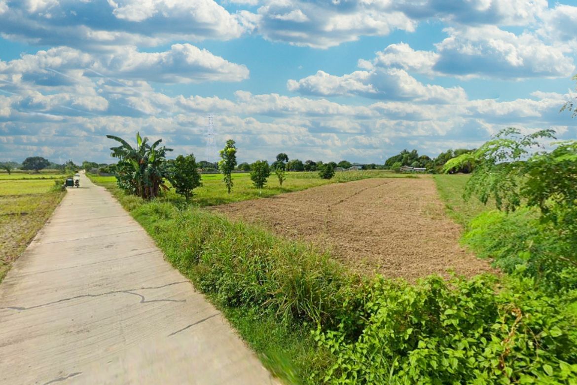 Land for Sale in San Blas, Villasis, Pangasinan