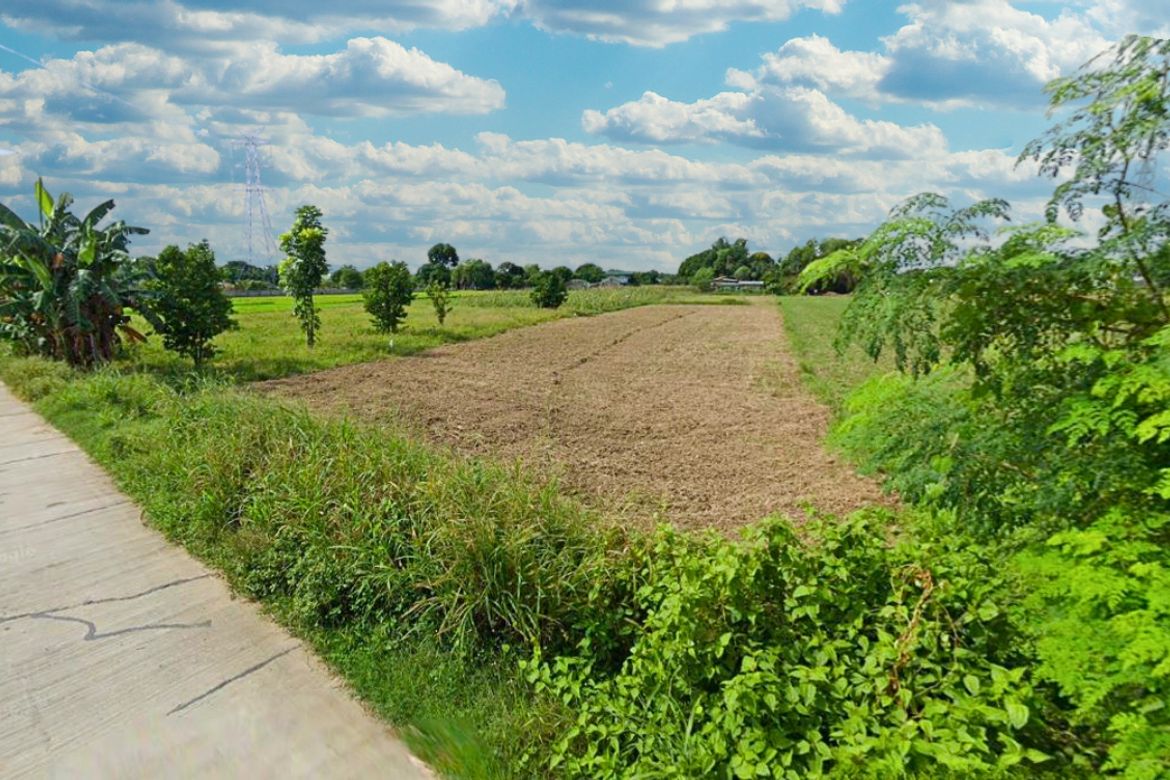 Land for Sale in San Blas, Villasis, Pangasinan – photo 2