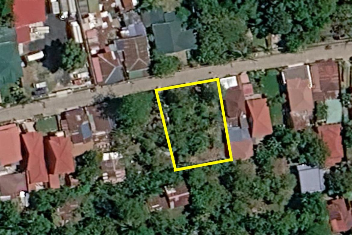 Land for Sale in San Buenaventura, San Pablo, Laguna – photo 2
