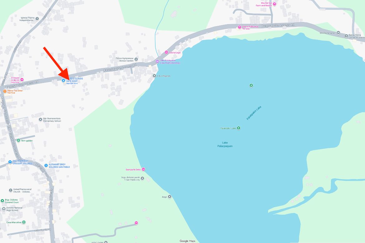 Land for Sale in San Buenaventura, San Pablo, Laguna – photo 5