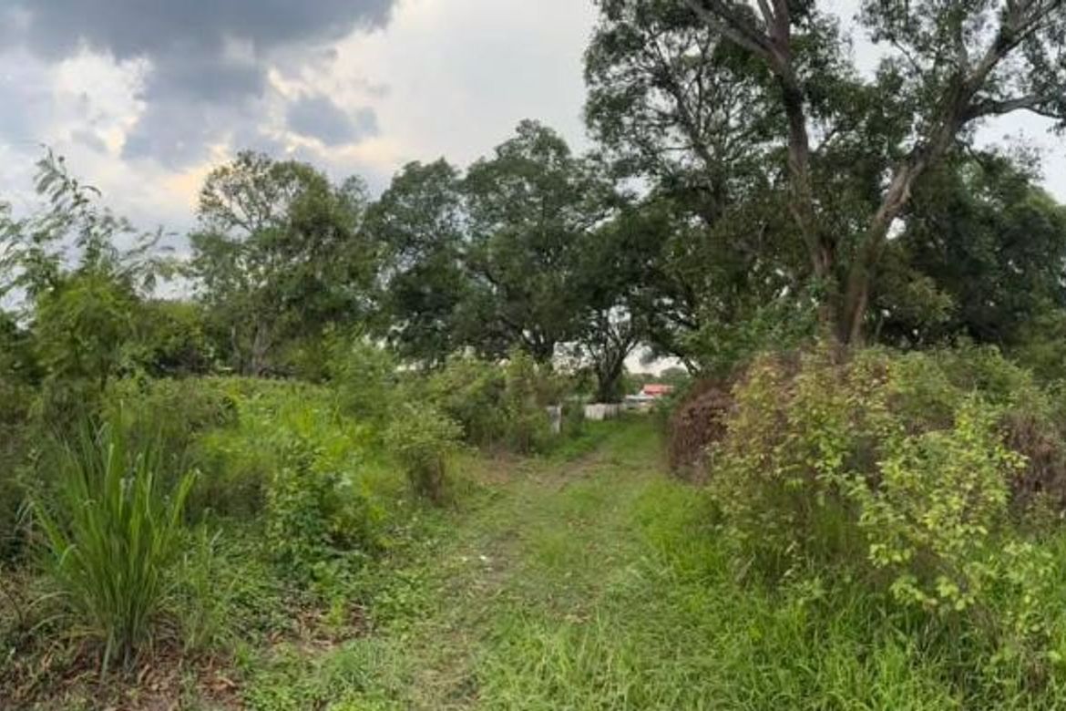 Land for Sale in San Felipe, San Fernando, Pampanga
