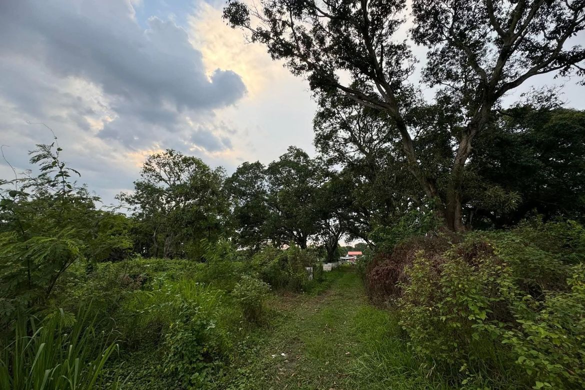 Land for Sale in San Felipe, San Fernando, Pampanga – photo 2