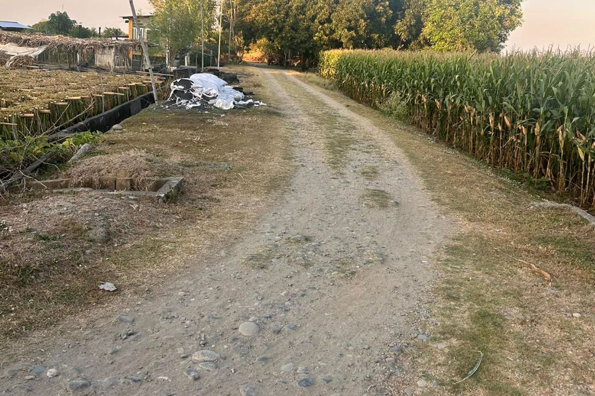 Land for Sale in San Felipe, San Manuel, Tarlac – photo 7
