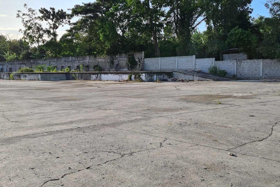 Land for Sale in San Felix, Santo Tomas, Batangas – photo 5
