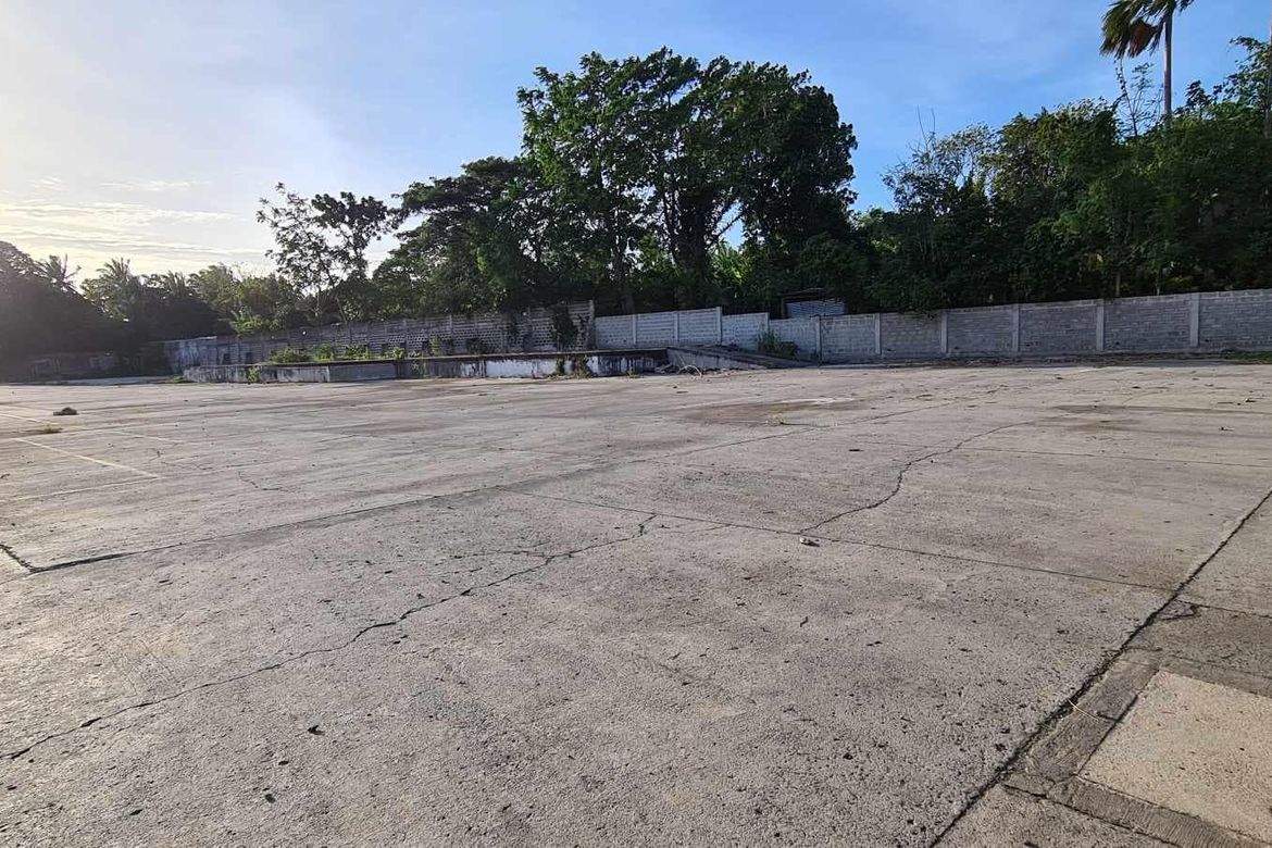 Land for Sale in San Felix, Santo Tomas, Batangas – photo 8