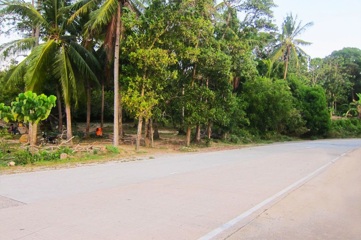 Land for Sale in San Fernando, El Nido, Palawan – photo 9