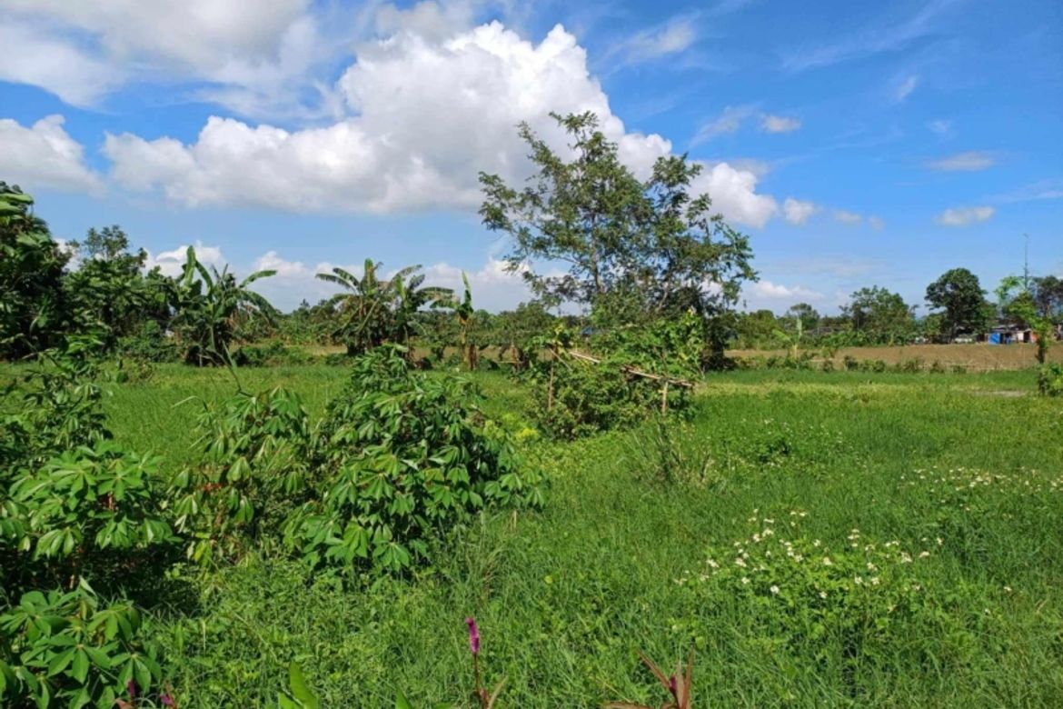 Land for Sale in San Fernando, Malvar, Batangas – photo 4