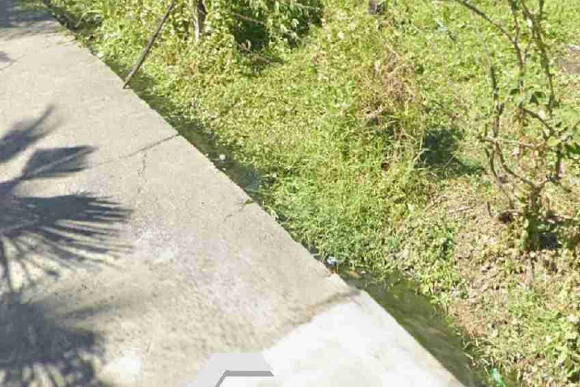 Land for Sale in San Fernando Sur, Cabiao, Nueva Ecija – photo 2