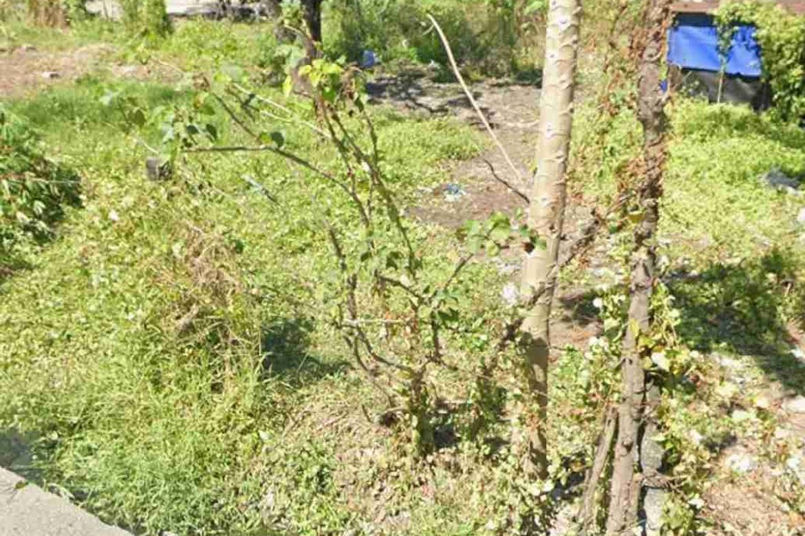 Land for Sale in San Fernando Sur, Cabiao, Nueva Ecija – photo 3