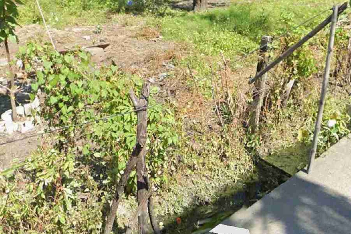 Land for Sale in San Fernando Sur, Cabiao, Nueva Ecija – photo 5