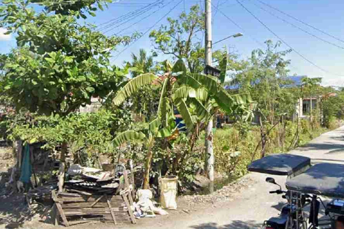 Land for Sale in San Fernando Sur, Cabiao, Nueva Ecija – photo 6