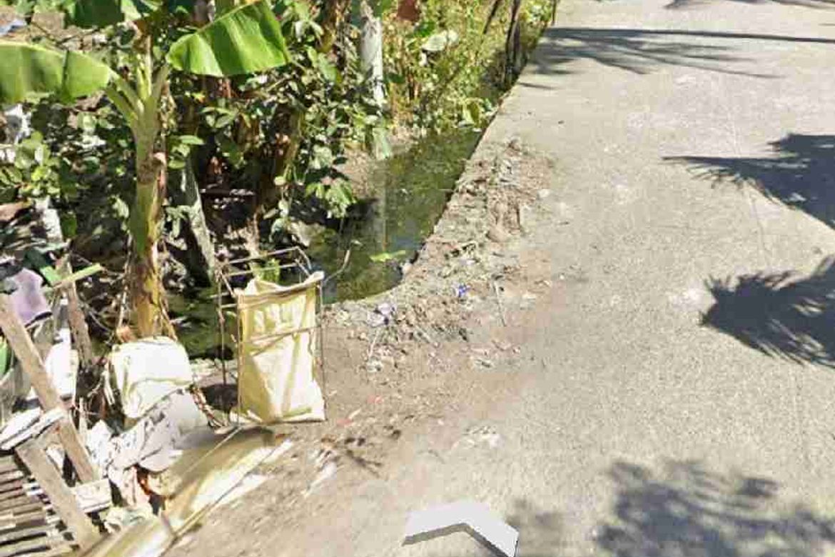 Land for Sale in San Fernando Sur, Cabiao, Nueva Ecija – photo 7