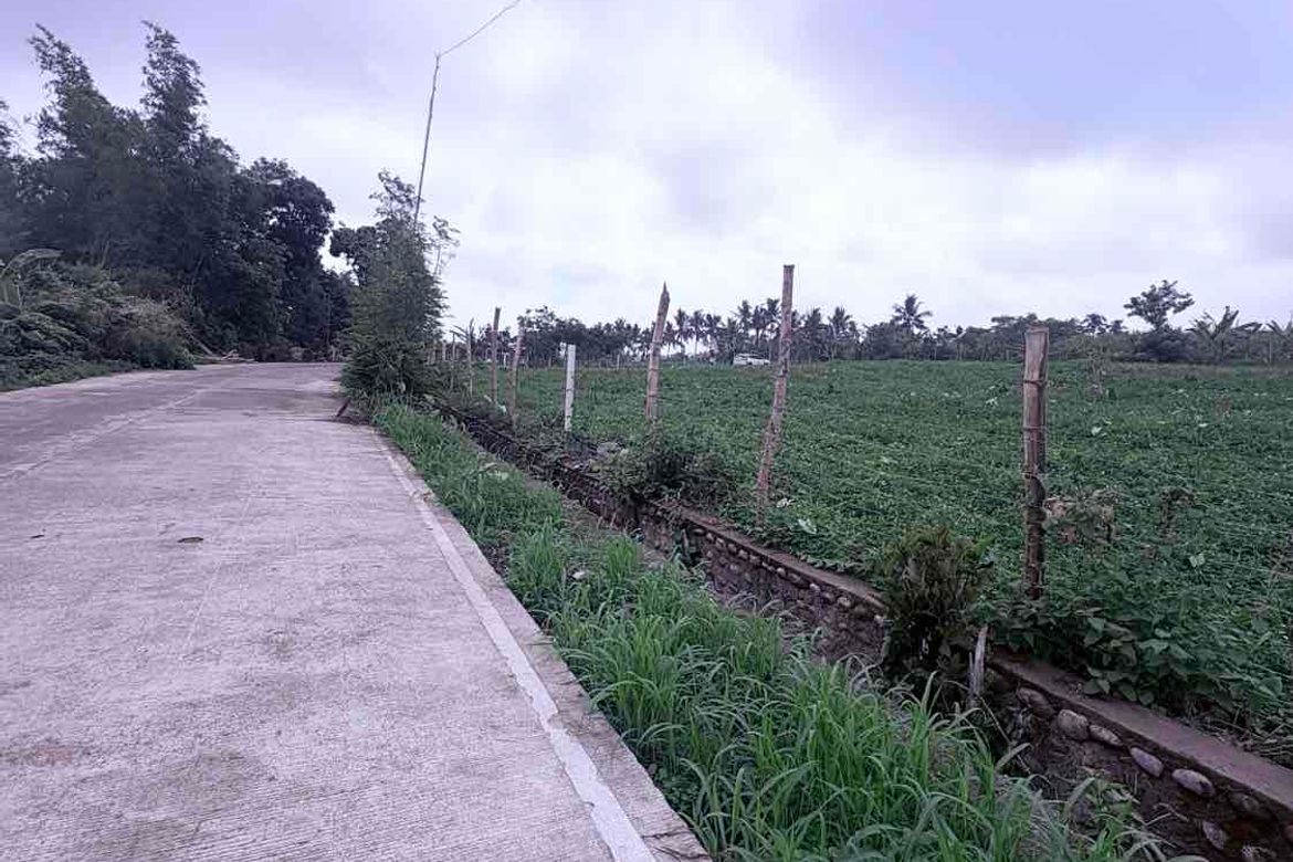 Land for Sale in San Fernando, Talisay, Negros Occidental