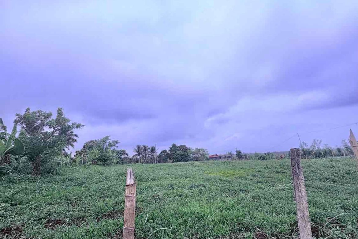 Land for Sale in San Fernando, Talisay, Negros Occidental – photo 3