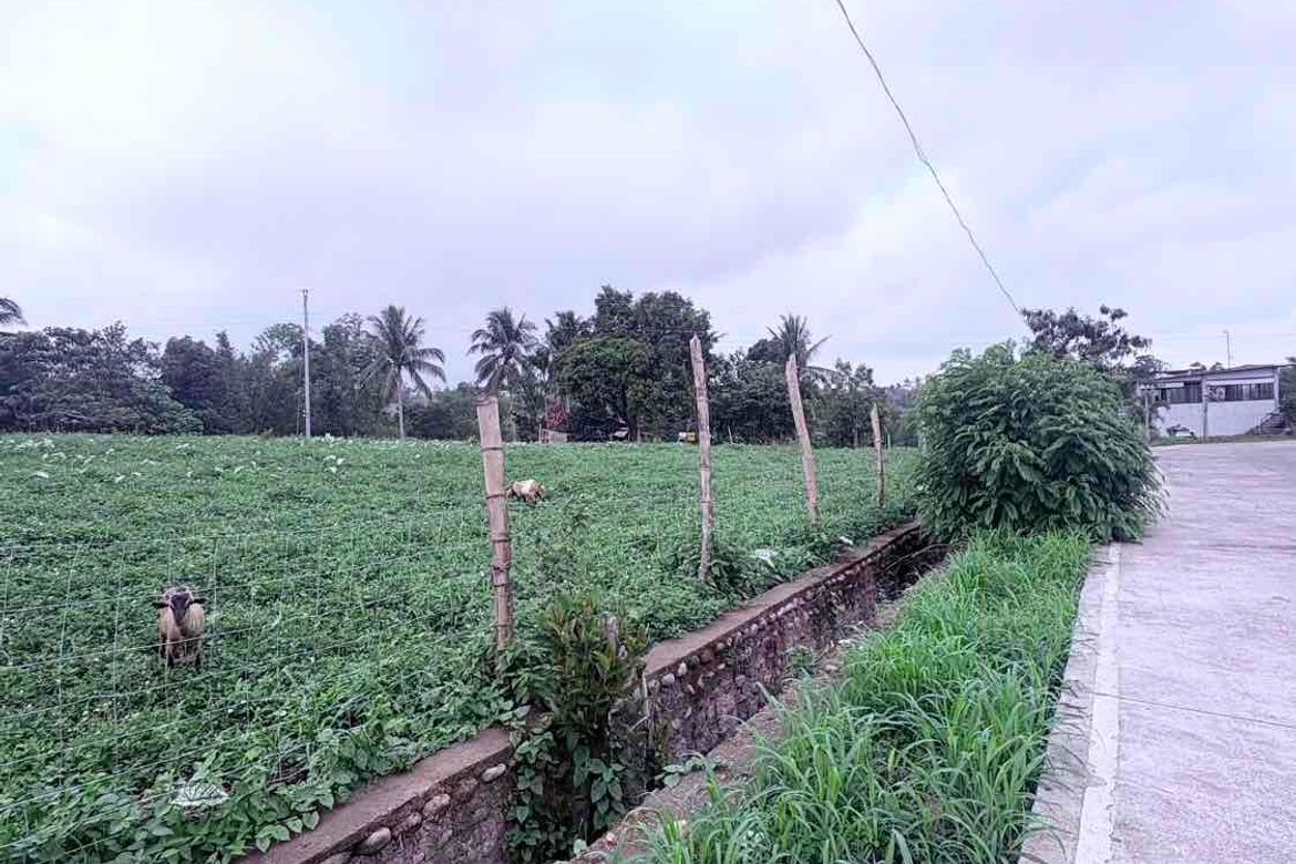 Land for Sale in San Fernando, Talisay, Negros Occidental – photo 5