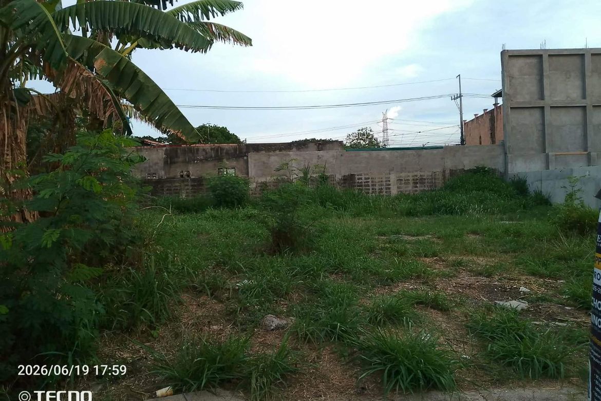 Land for Sale in San Francisco, Biñan, Laguna – photo 2
