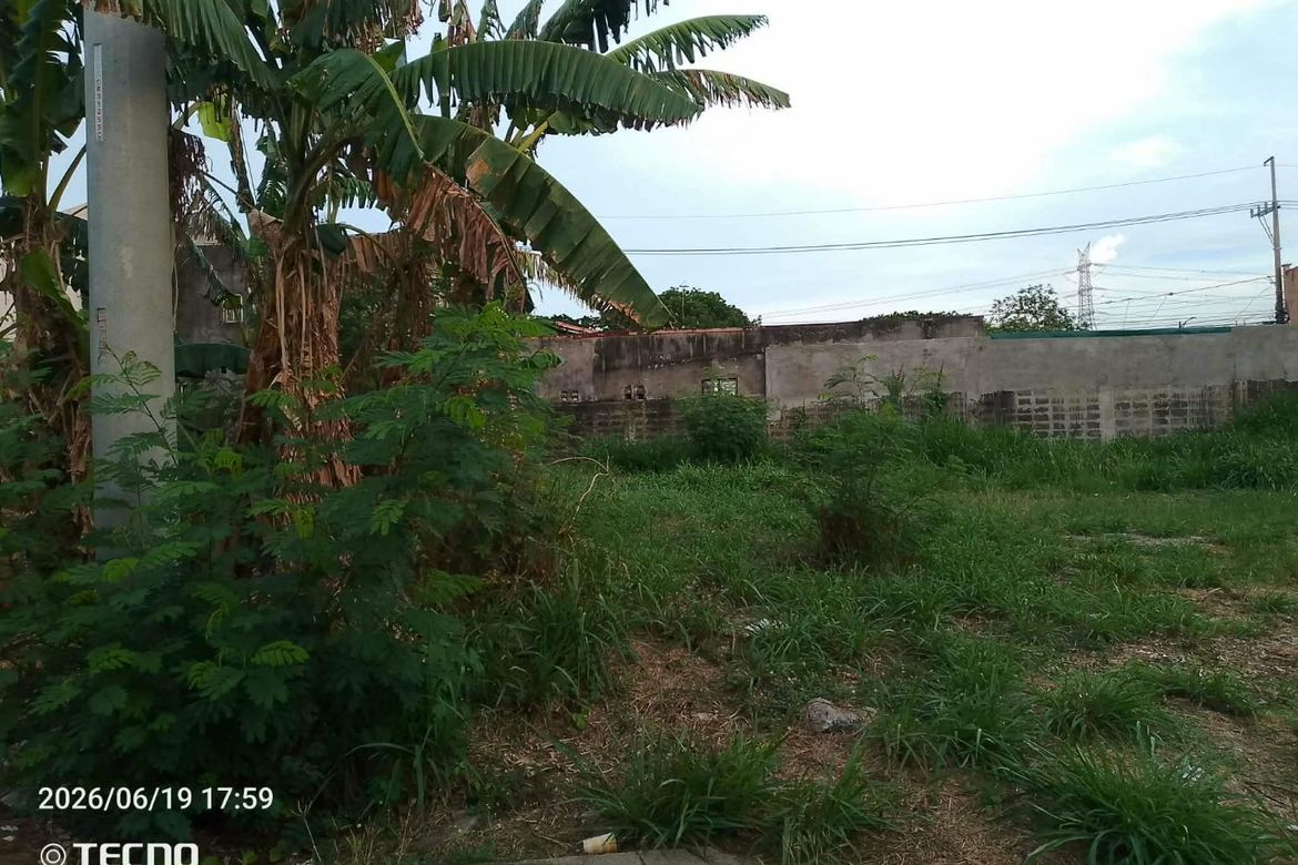 Land for Sale in San Francisco, Biñan, Laguna – photo 3