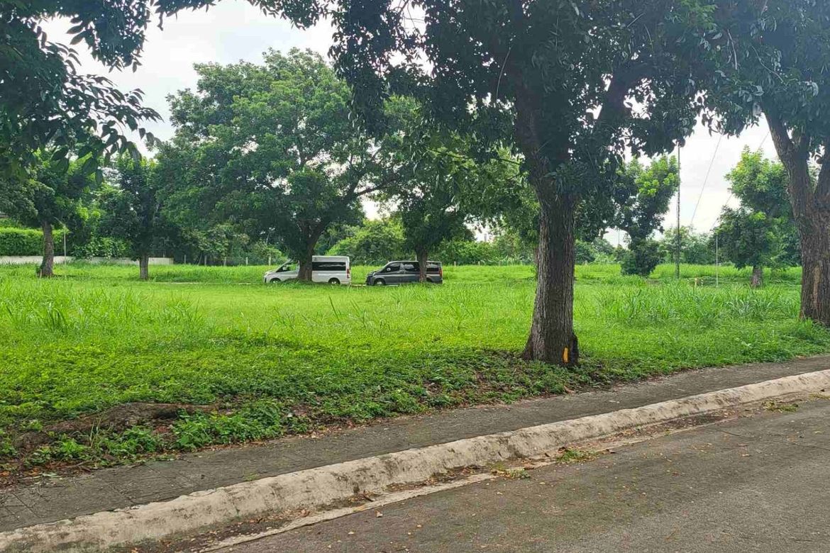 Land for Sale in San Francisco, Biñan, Laguna – photo 7