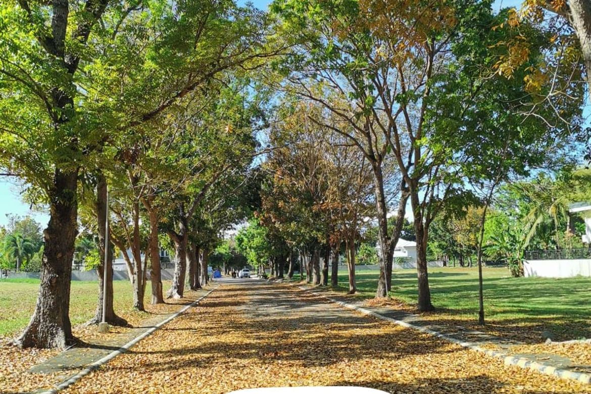 Land for Sale in San Francisco, Biñan, Laguna