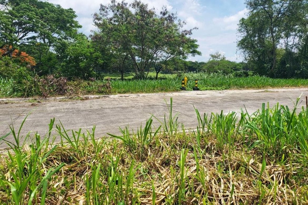 Land for Sale in San Francisco, Biñan, Laguna