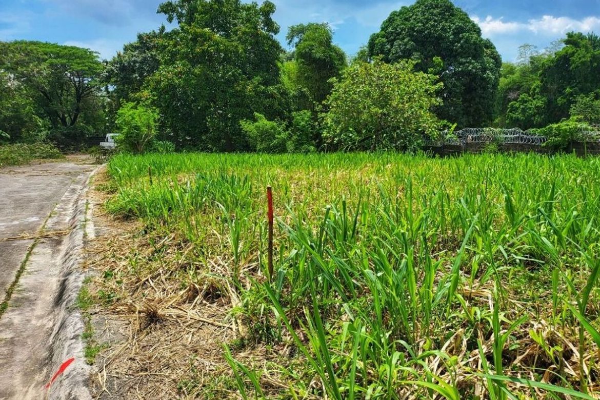 Land for Sale in San Francisco, Biñan, Laguna – photo 8