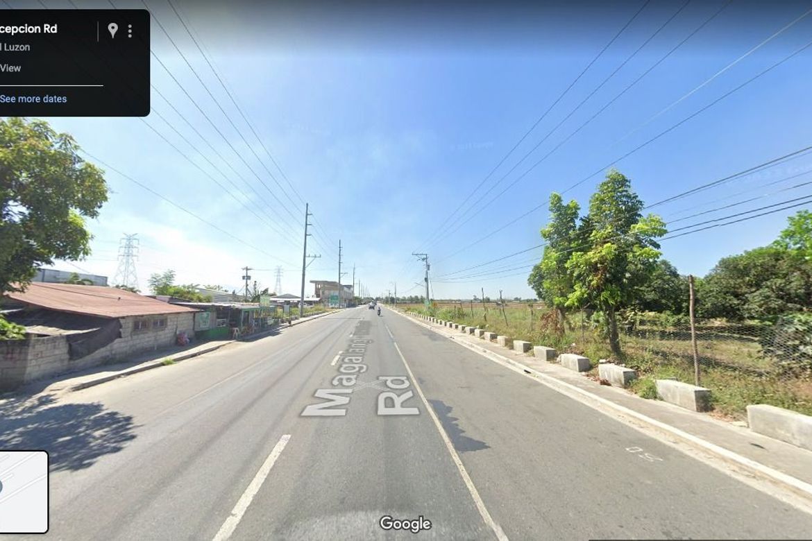 Land for Sale in San Francisco, Concepcion, Tarlac – photo 2
