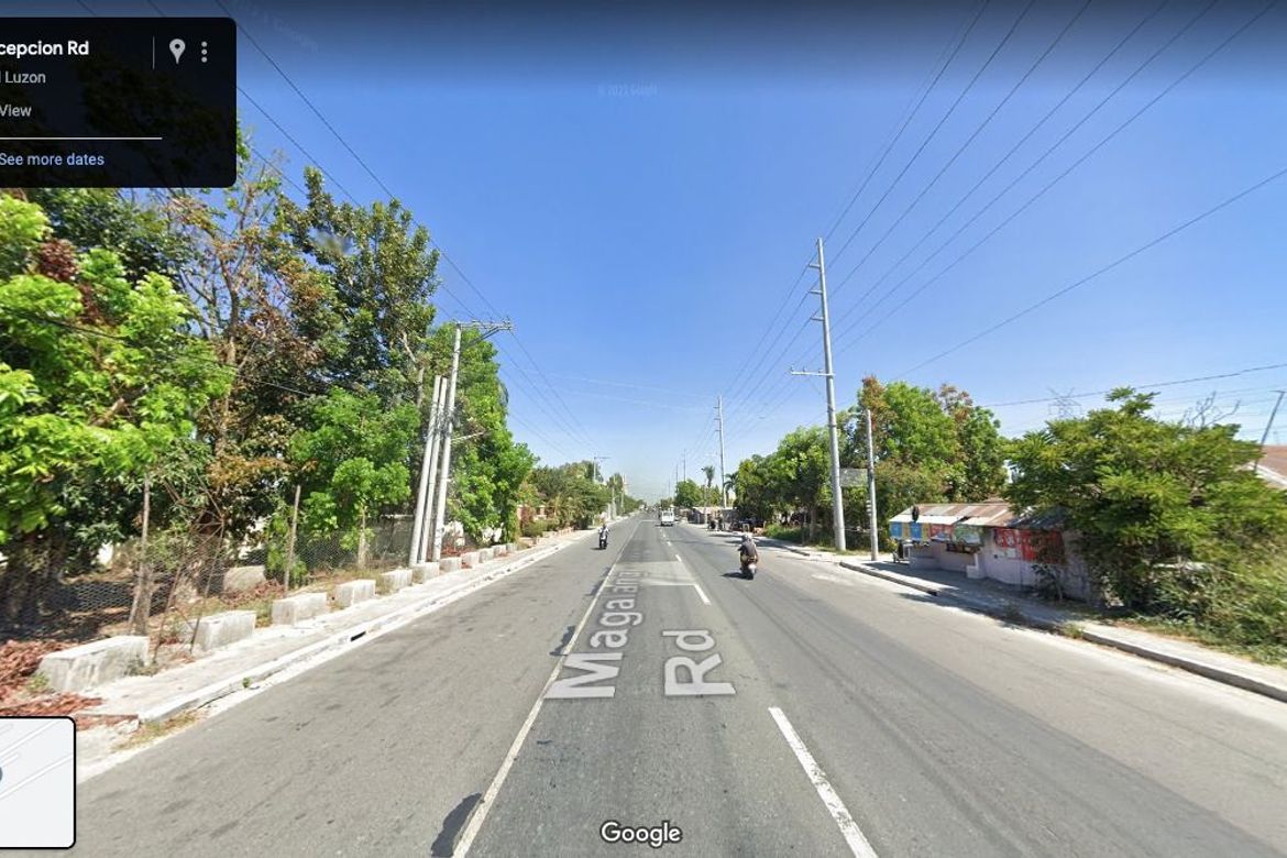 Land for Sale in San Francisco, Concepcion, Tarlac – photo 3