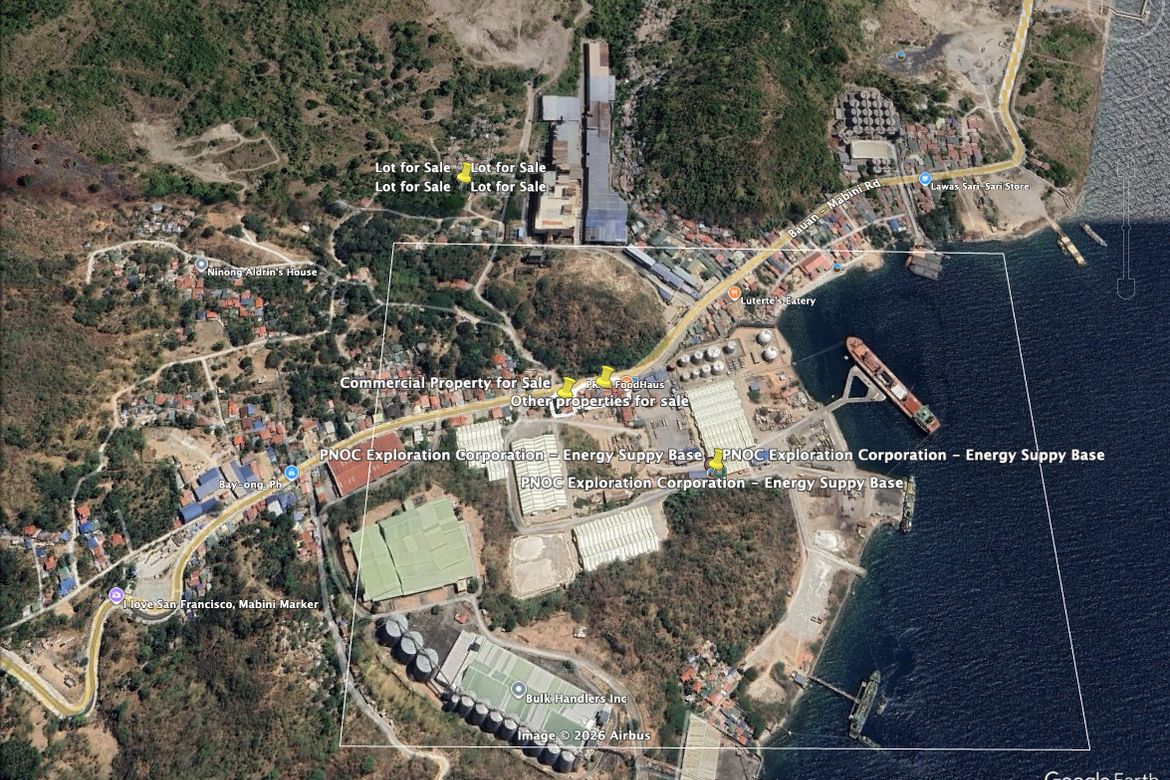 Land for Sale in San Francisco, Mabini, Batangas