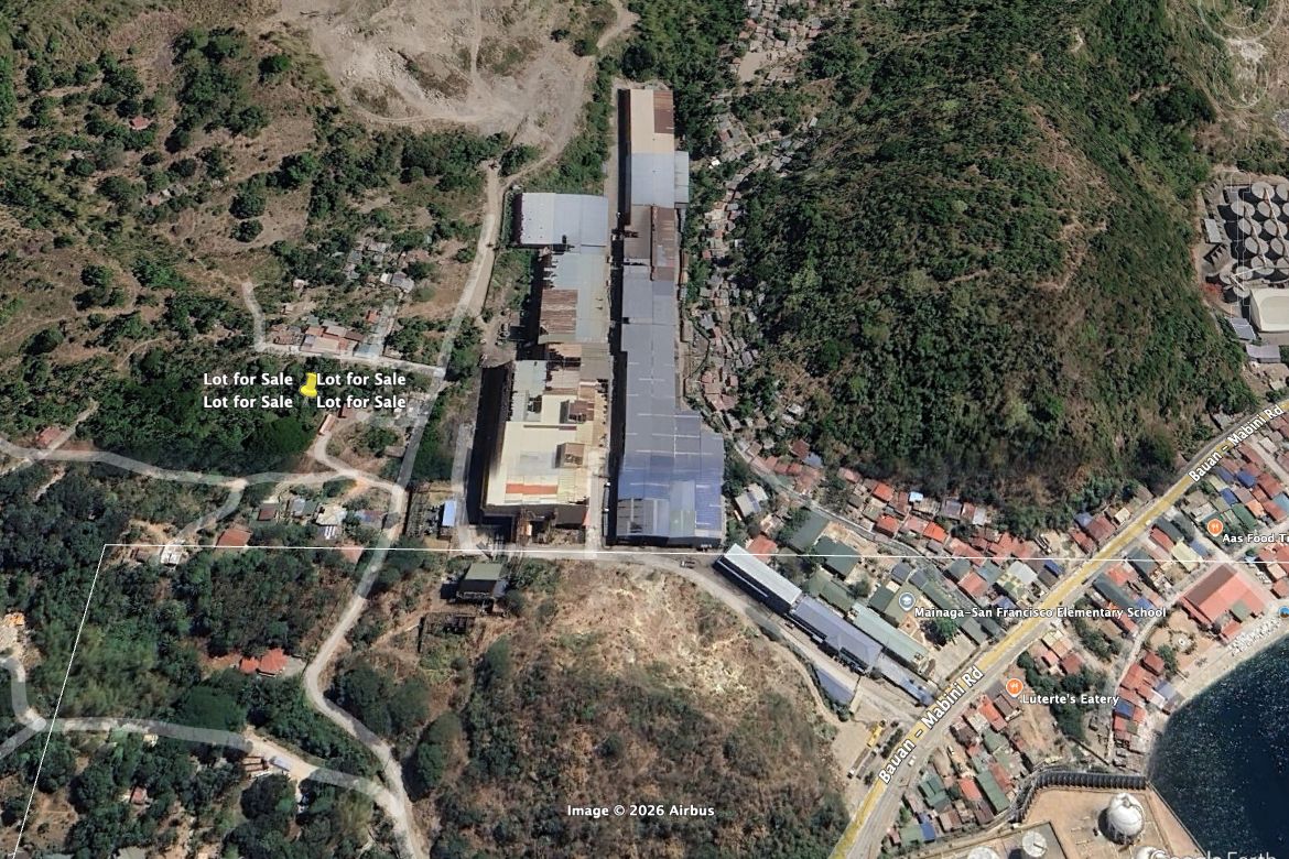 Land for Sale in San Francisco, Mabini, Batangas – photo 2
