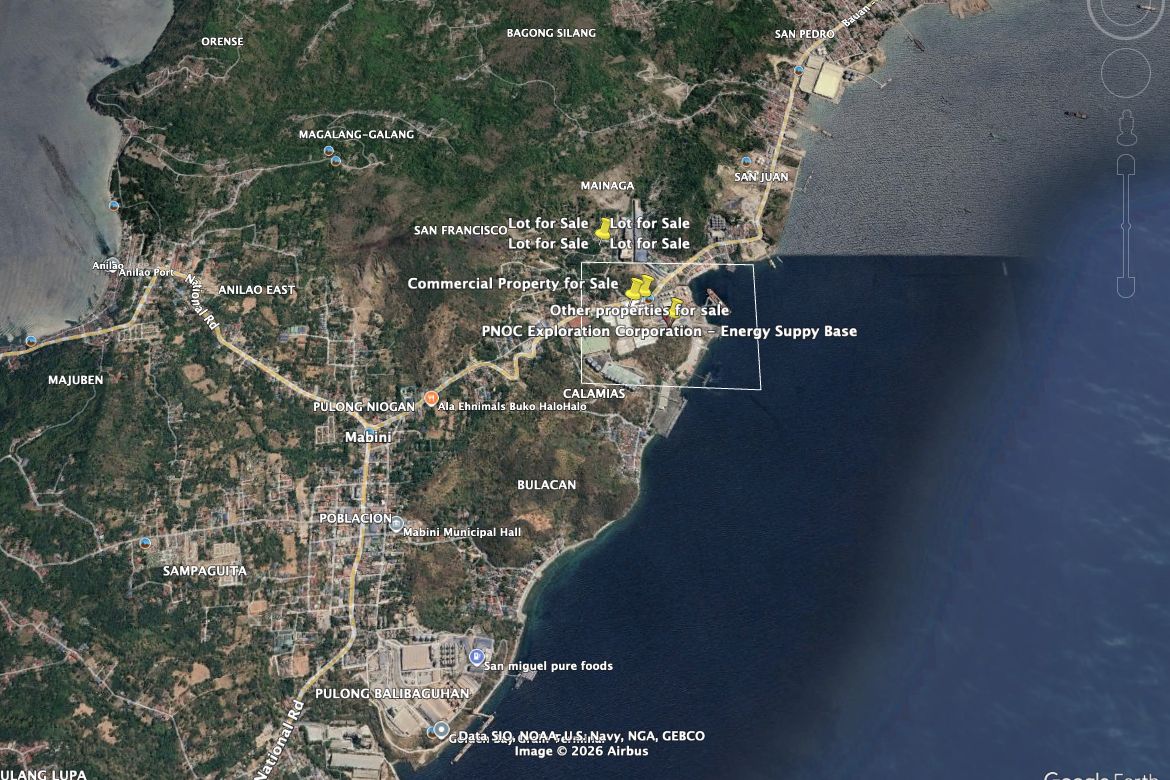 Land for Sale in San Francisco, Mabini, Batangas – photo 4