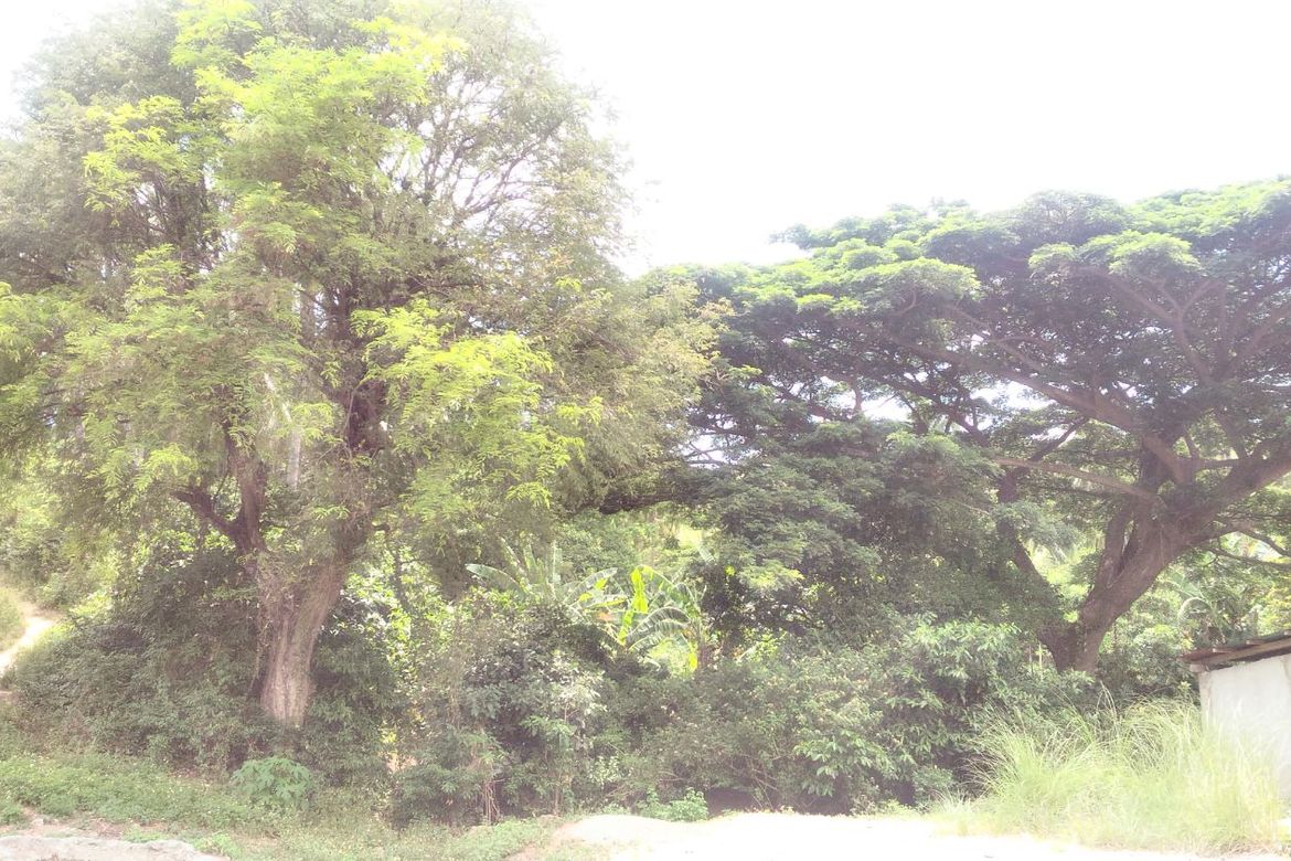 Land for Sale in San Francisco, Mabini, Batangas – photo 7