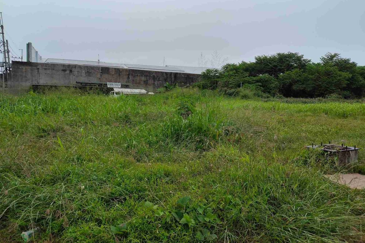Land for Sale in San Francisco, San Pablo, Laguna – photo 4