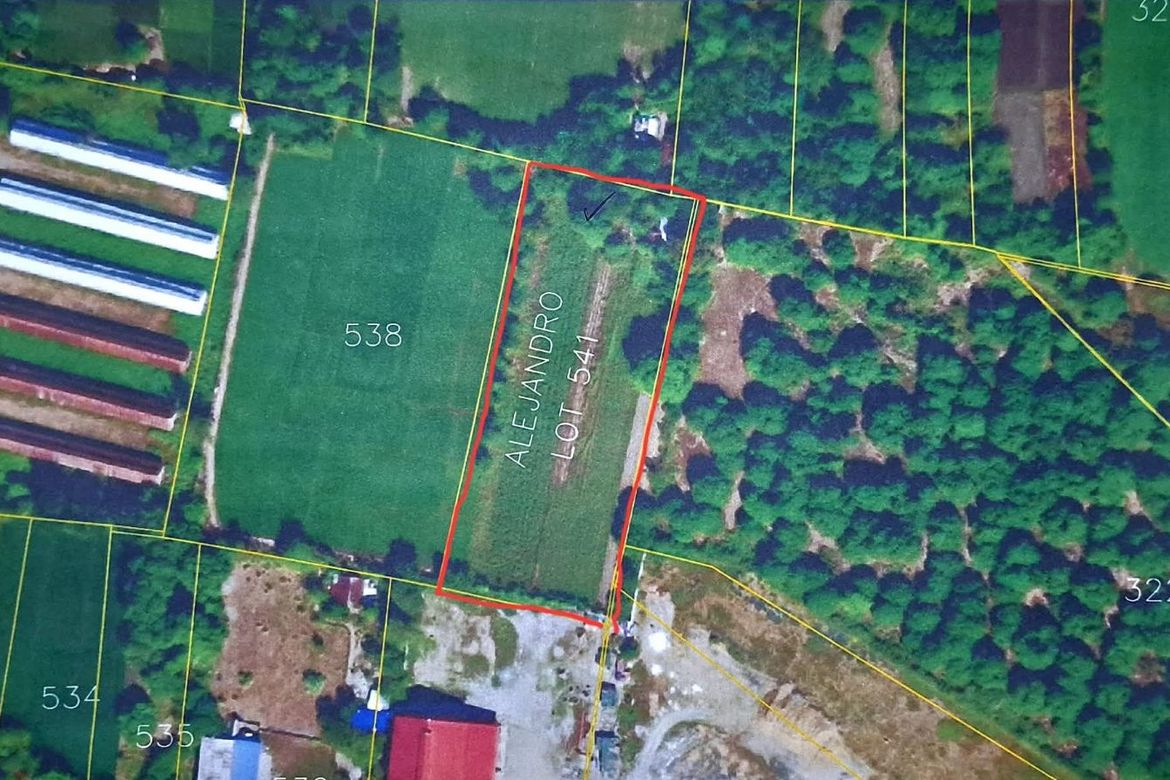 Land for Sale in San Gavino, Victoria, Tarlac