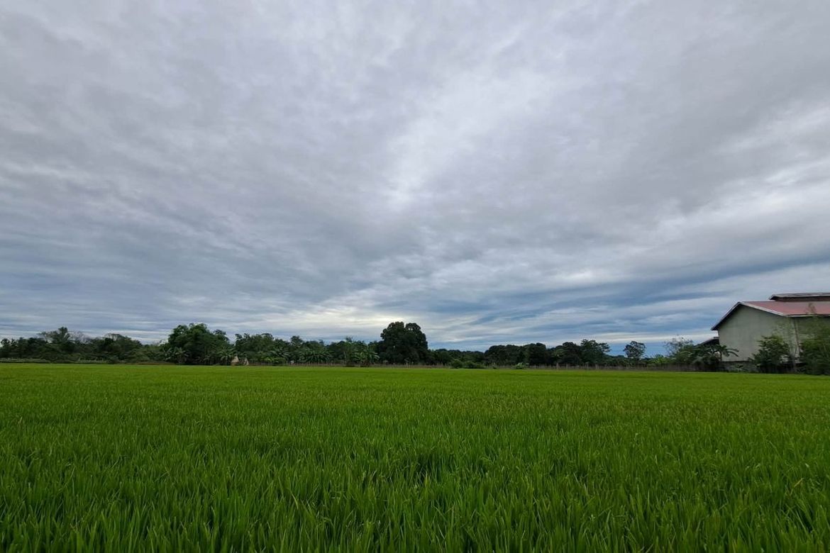 Land for Sale in San Gavino, Victoria, Tarlac – photo 5