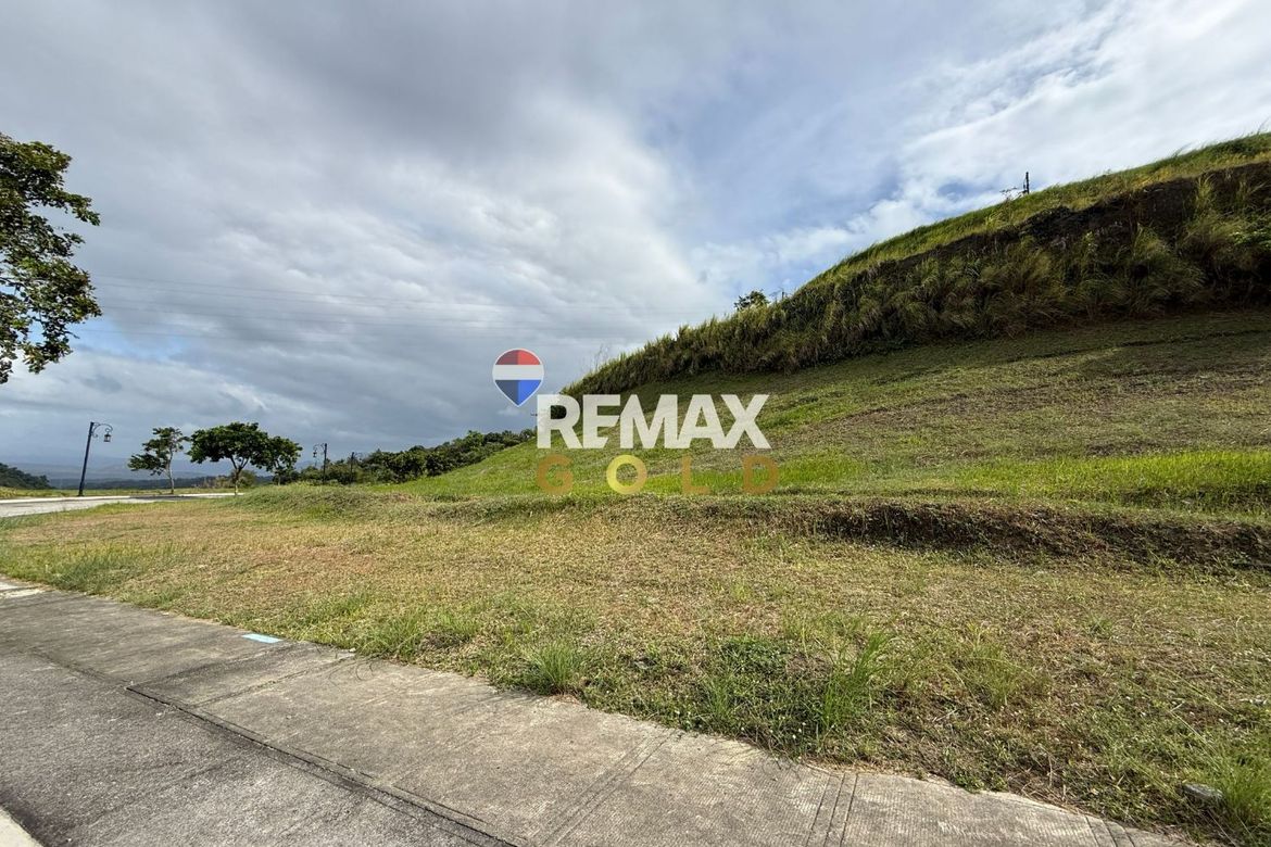 Land for Sale in San Gregorio, Laurel, Batangas