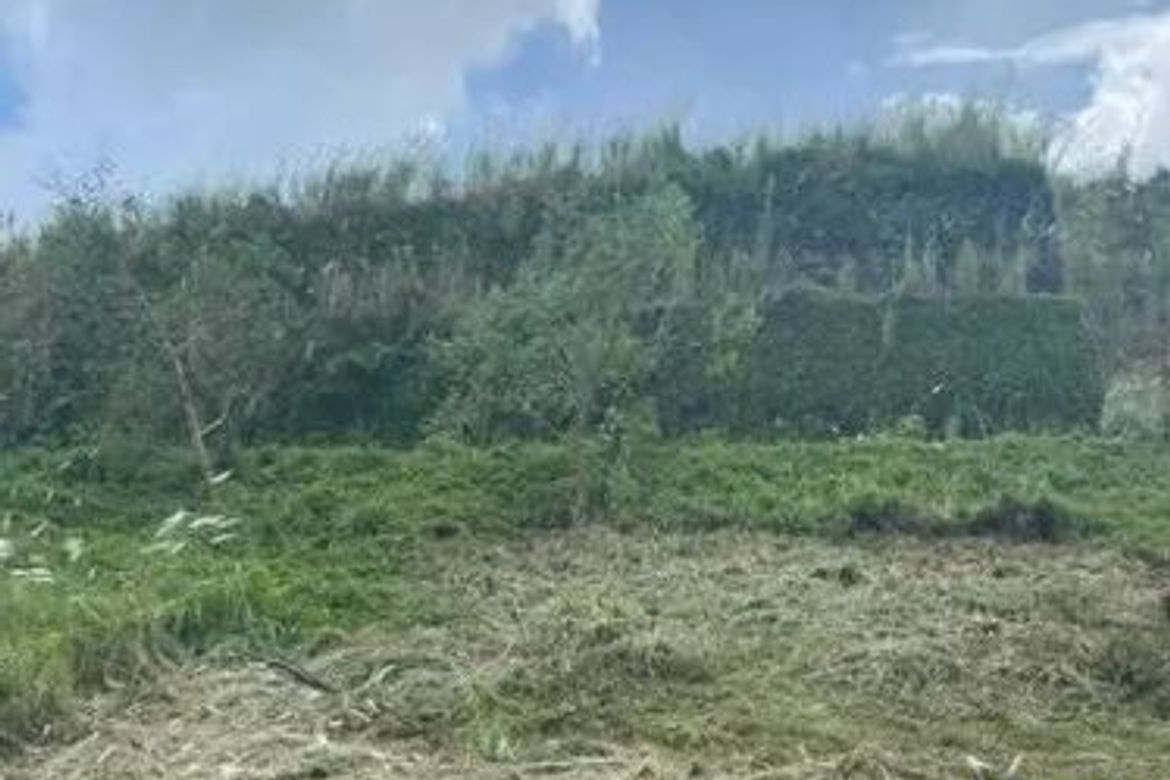 Land for Sale in San Gregorio, Laurel, Batangas