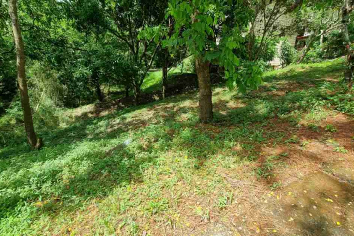 Land for Sale in San Gregorio, Laurel, Batangas – photo 2