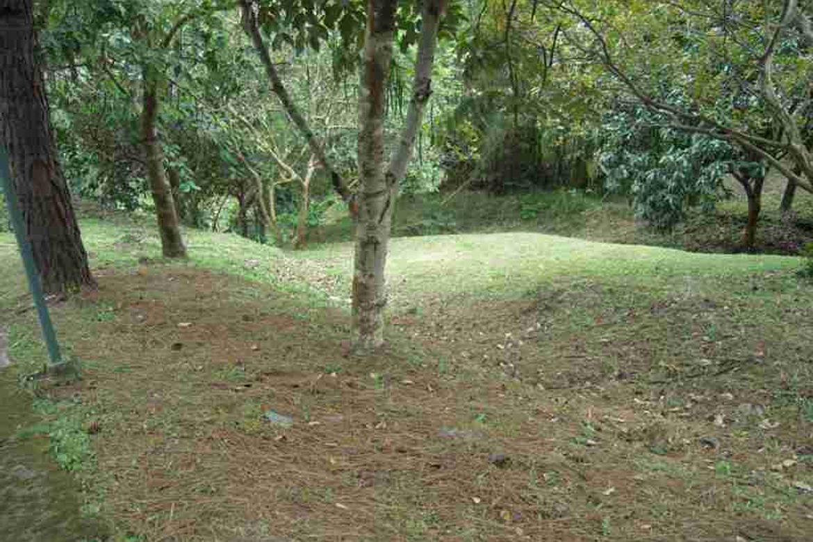 Land for Sale in San Gregorio, Laurel, Batangas – photo 3