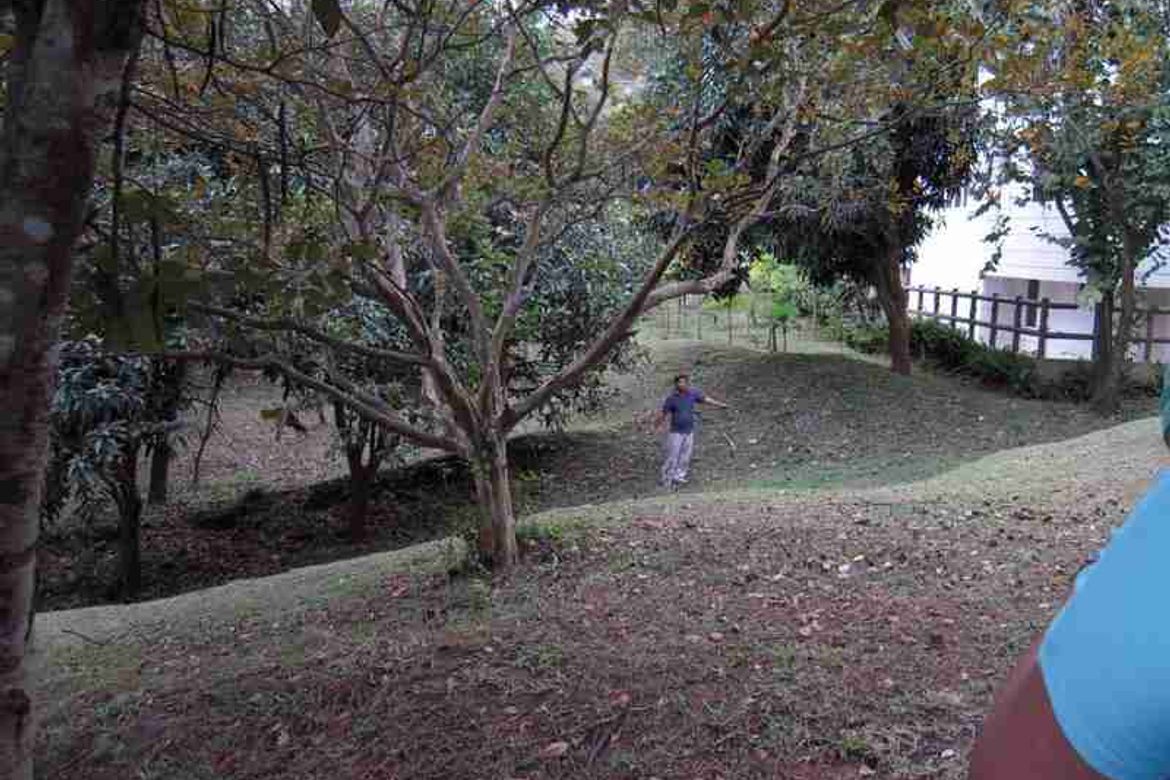 Land for Sale in San Gregorio, Laurel, Batangas – photo 5