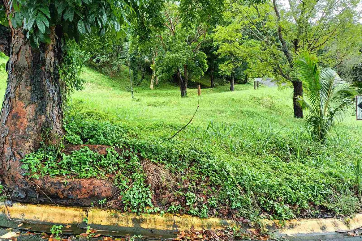 Land for Sale in San Gregorio, Laurel, Batangas