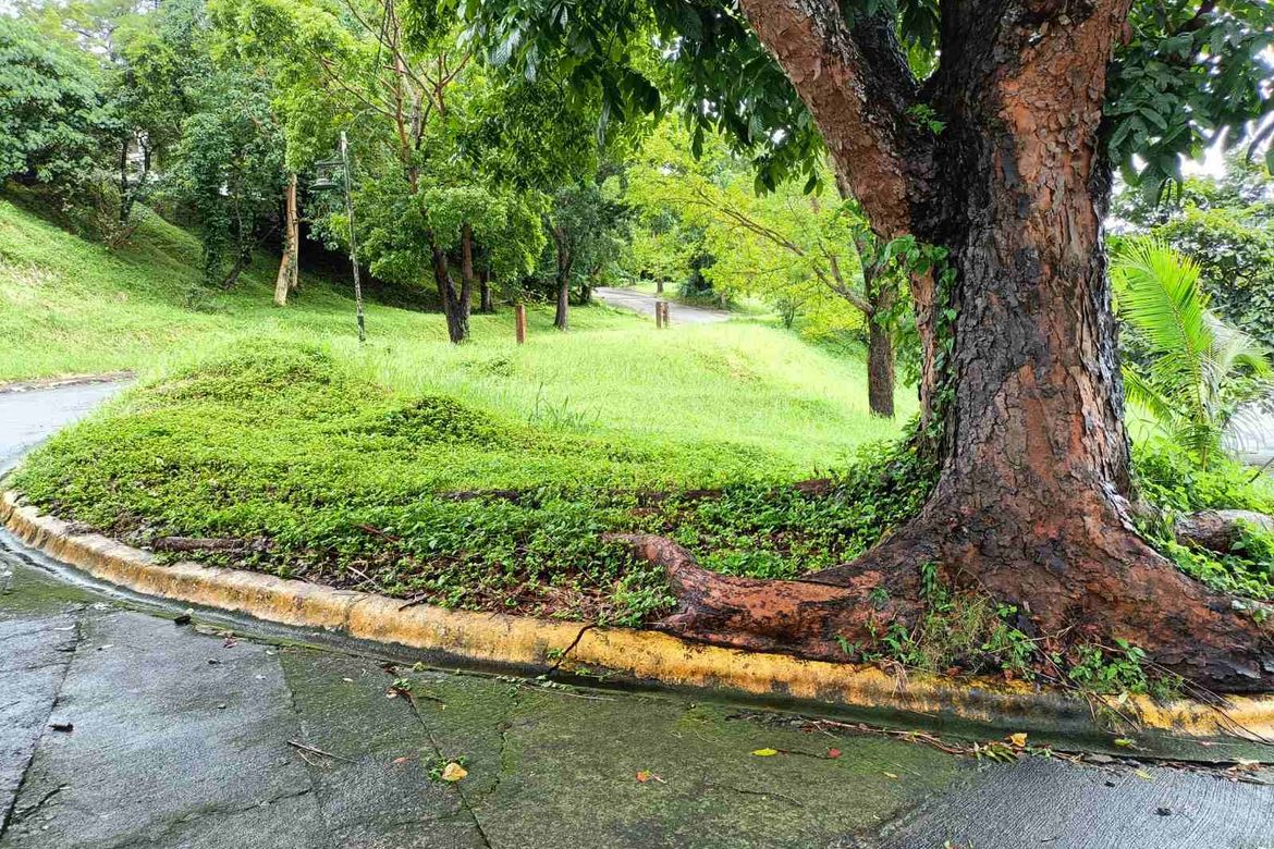 Land for Sale in San Gregorio, Laurel, Batangas – photo 3