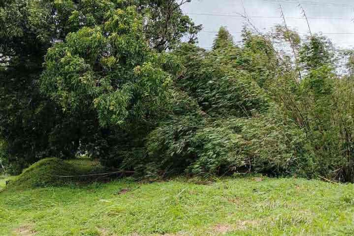 Land for Sale in San Gregorio, Laurel, Batangas – photo 2