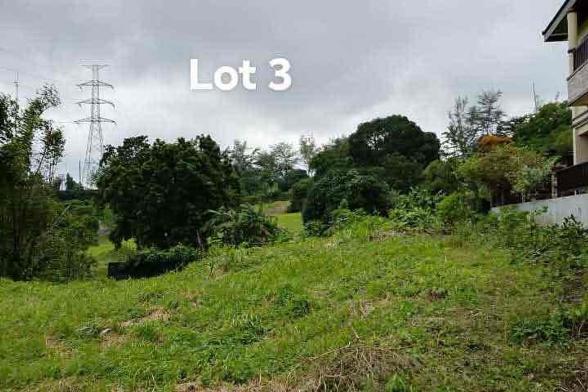 Land for Sale in San Gregorio, Laurel, Batangas – photo 3