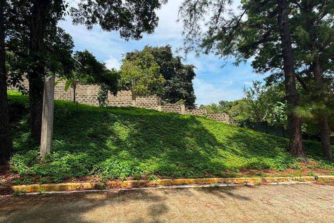 Land for Sale in San Gregorio, Laurel, Batangas