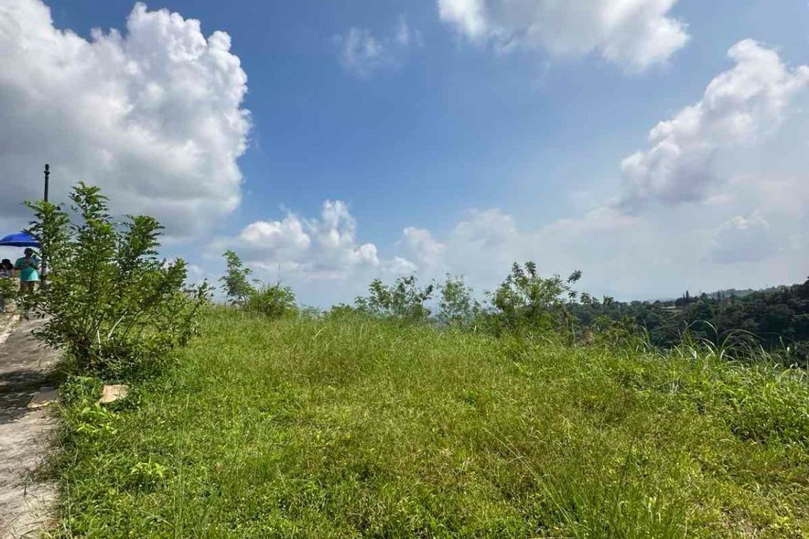 Land for Sale in San Gregorio, Laurel, Batangas – photo 3