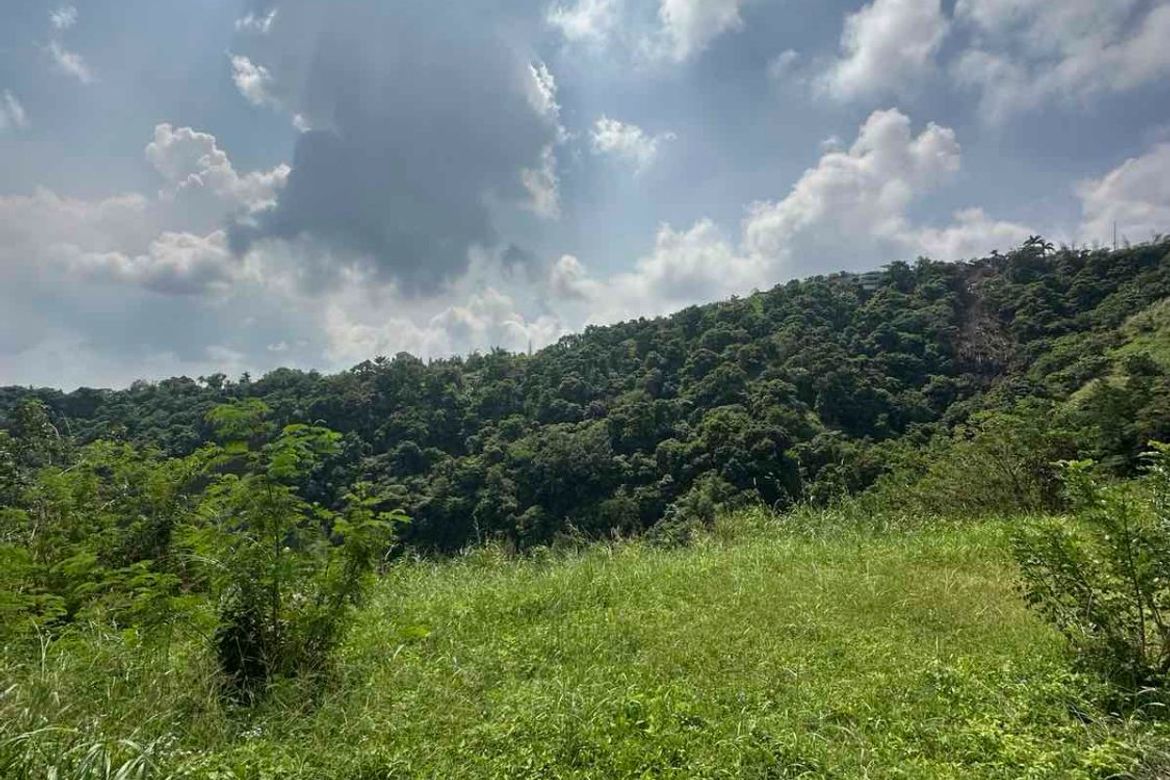 Land for Sale in San Gregorio, Laurel, Batangas – photo 8