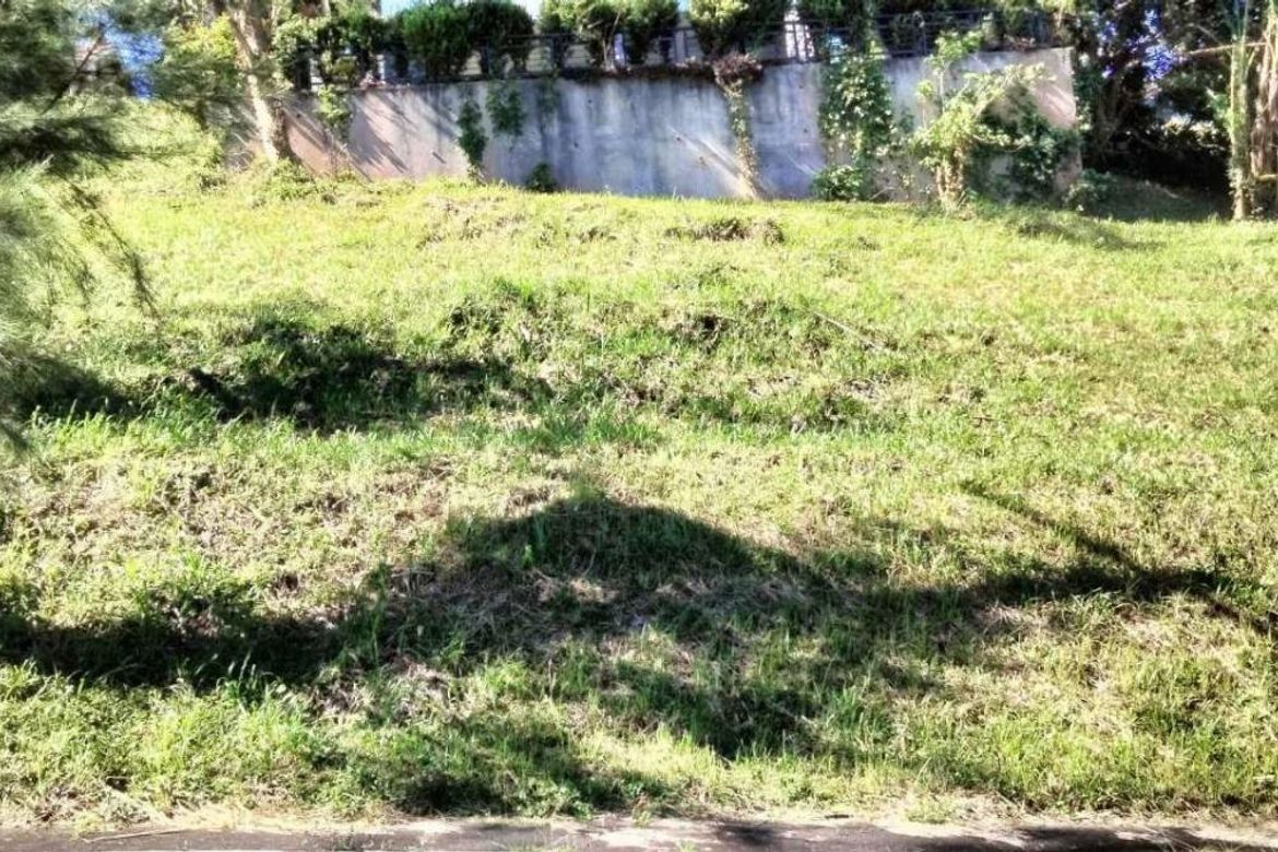 Land for Sale in San Gregorio, Laurel, Batangas – photo 4