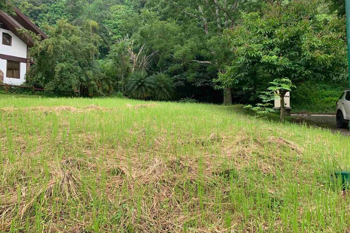 Land for Sale in San Gregorio, Laurel, Batangas – photo 2